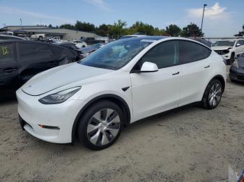  Salvage Tesla Model Y