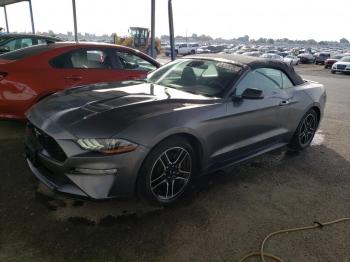  Salvage Ford Mustang