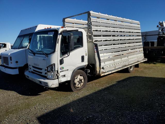  Salvage Isuzu Nrr