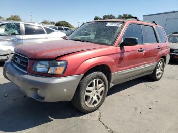  Salvage Subaru Forester