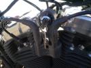 Harley-Davidson Sprtstr120 Forty-eight Image 6