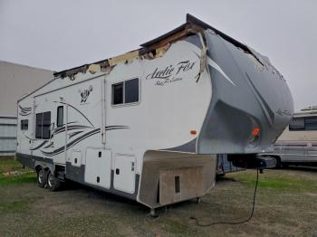  Salvage Nrth Artic Fox