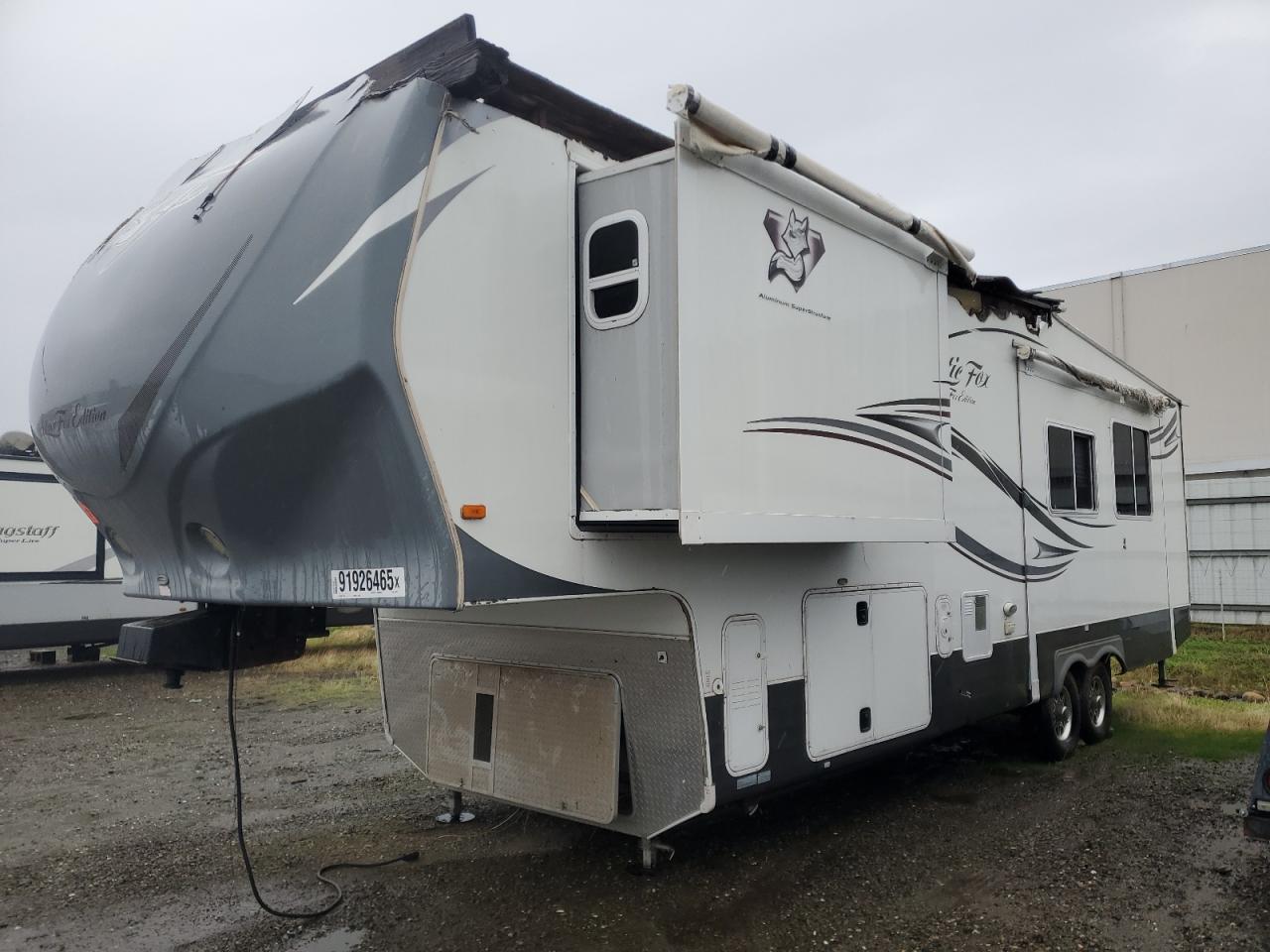 Nrth Artic Fox Image 4