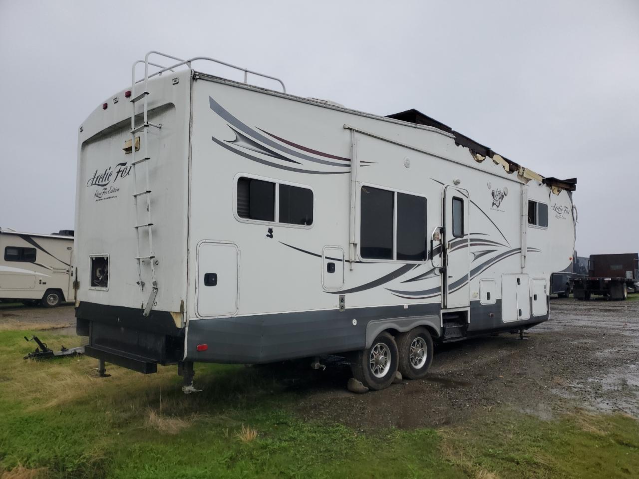 Nrth Artic Fox Image 10