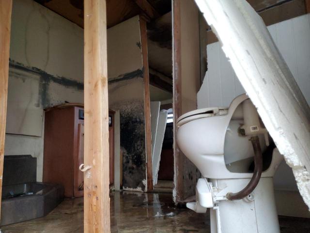 Nrth Artic Fox Image 8