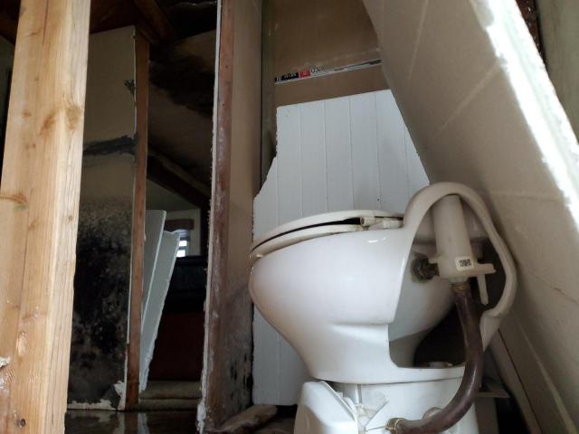 Nrth Artic Fox Image 7