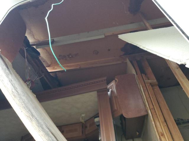 Nrth Artic Fox Image 5